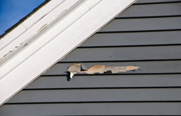 Best Vinyl Siding Installation  in USA